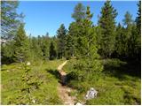 La Crusc - Lavarella (western summit)